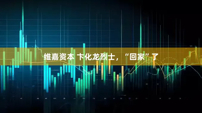 维嘉资本 卞化龙烈士，“回家”了