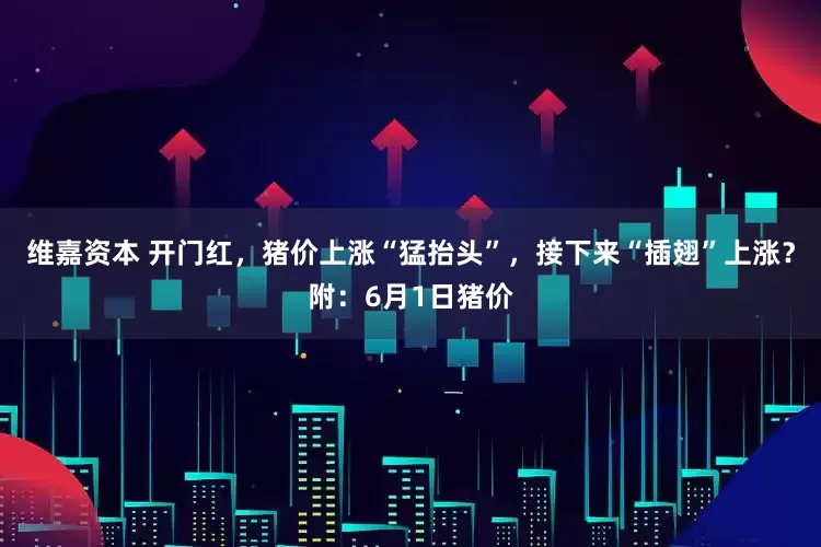 维嘉资本 开门红，猪价上涨“猛抬头”，接下来“插翅”上涨？附：6月1日猪价